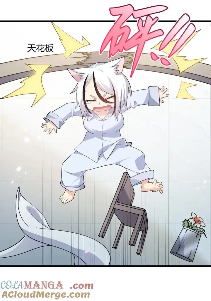 《长的太像BOSS，结果世人真的信了》87 登顶！奖励！图43