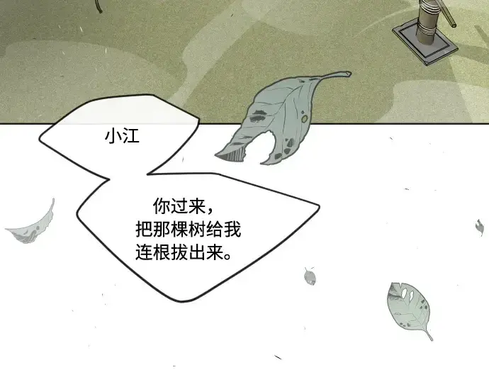 《超人的时代》第一季 完结话图355