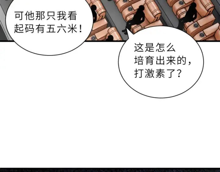 《超神宠兽店》91 交锋图83