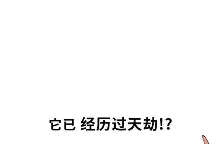 《超神宠兽店》111 全力以赴图59