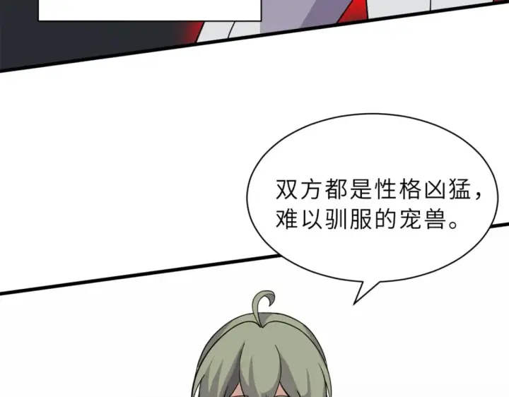 《超神宠兽店》116 斗兽图43