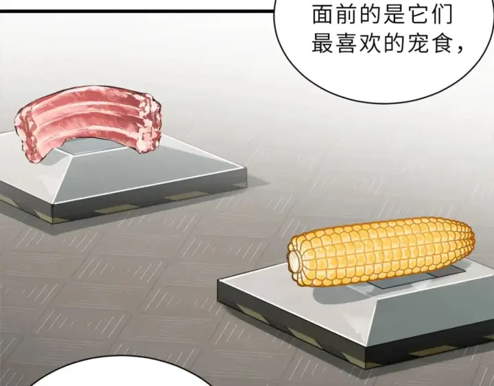 《超神宠兽店》116 斗兽图50