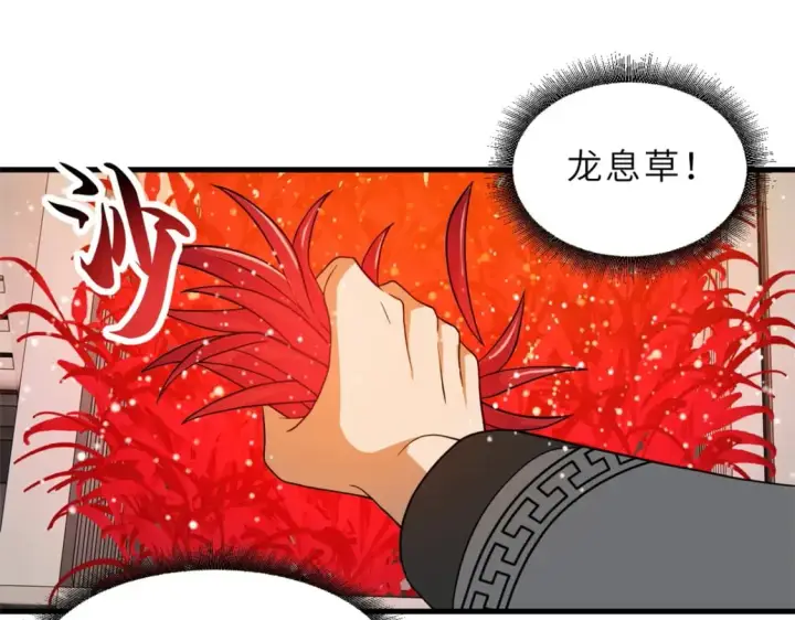 《超神宠兽店》116 斗兽图79