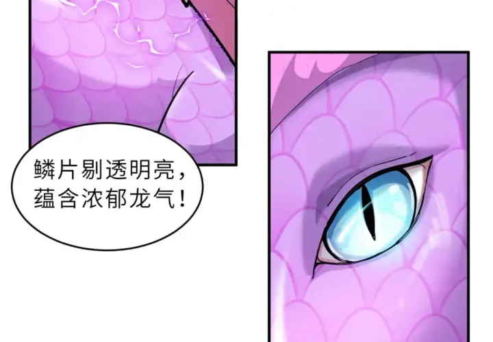 《超神宠兽店》132 评分图70