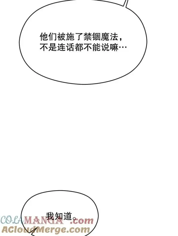 《超越回归的大魔导师》94.变数图29