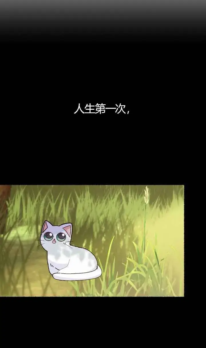 《成了每晚和偏执暴君共眠的猫》第04话图12