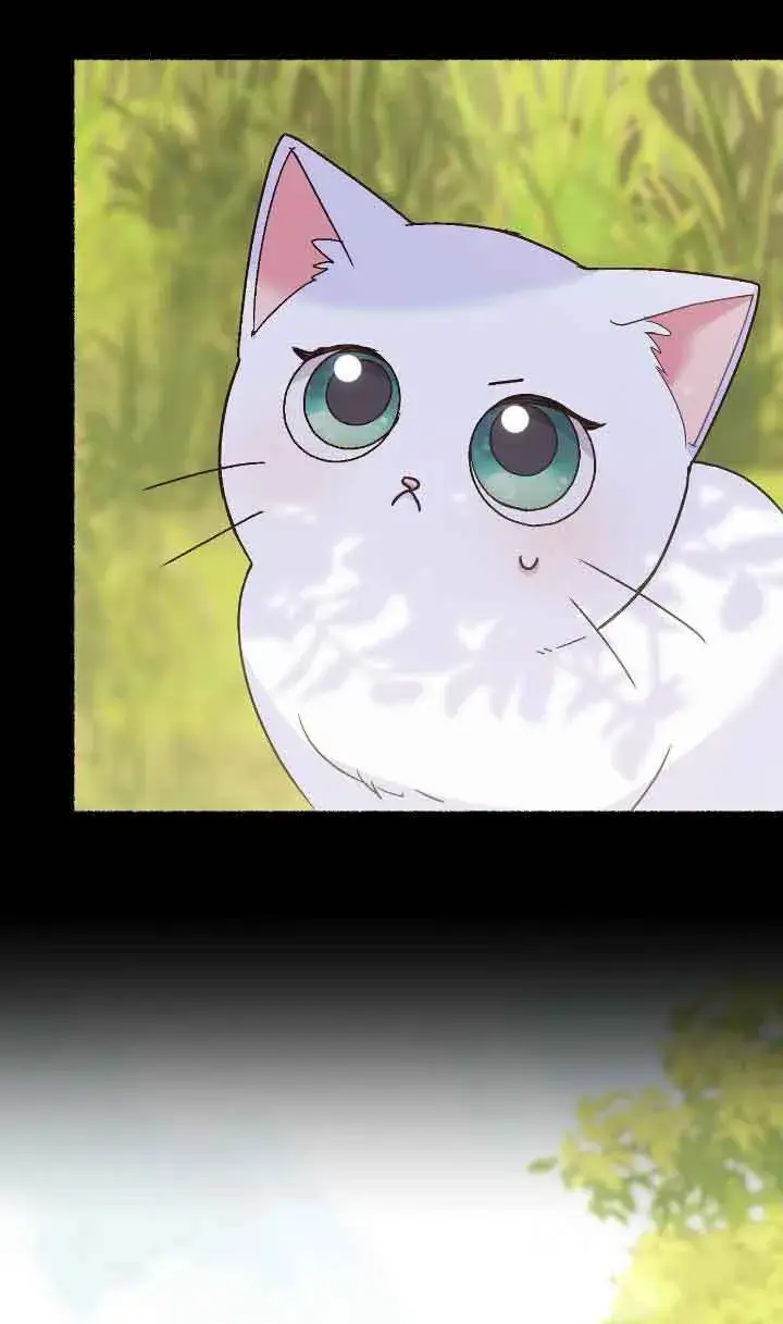 《成了每晚和偏执暴君共眠的猫》第04话图13