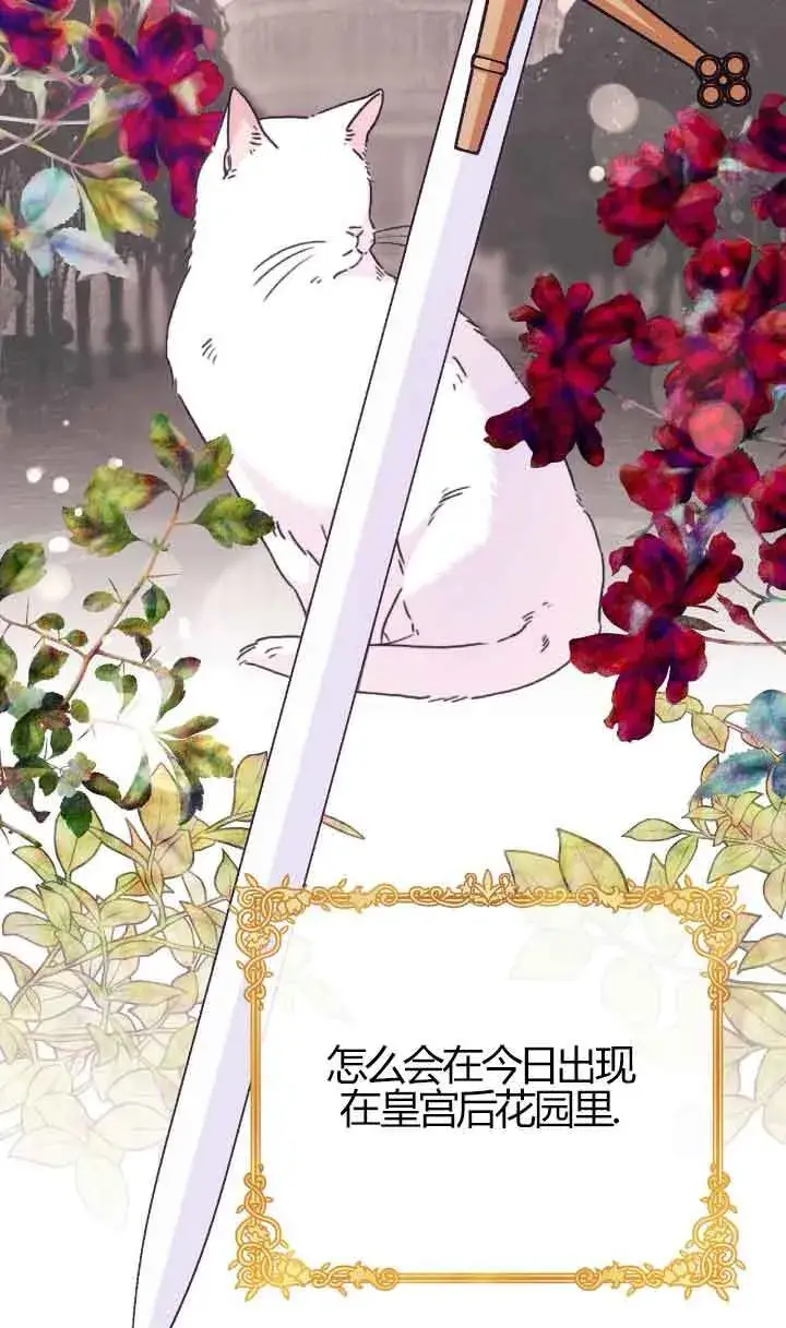 《成了每晚和偏执暴君共眠的猫》第04话图19