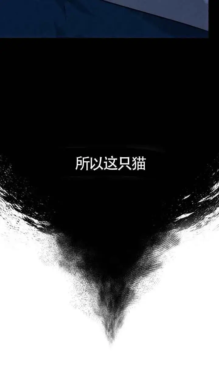《成了每晚和偏执暴君共眠的猫》第04话图30