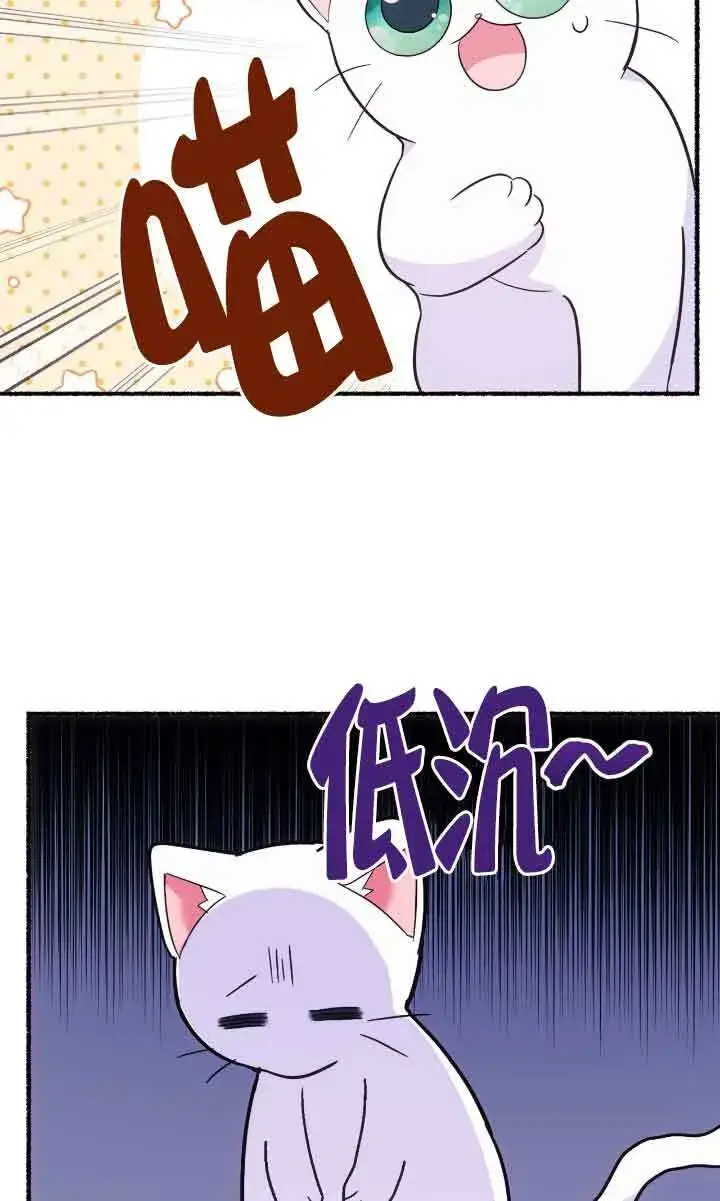 《成了每晚和偏执暴君共眠的猫》第04话图68