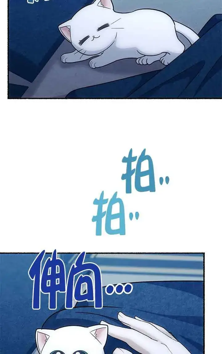 《成了每晚和偏执暴君共眠的猫》第04话图92