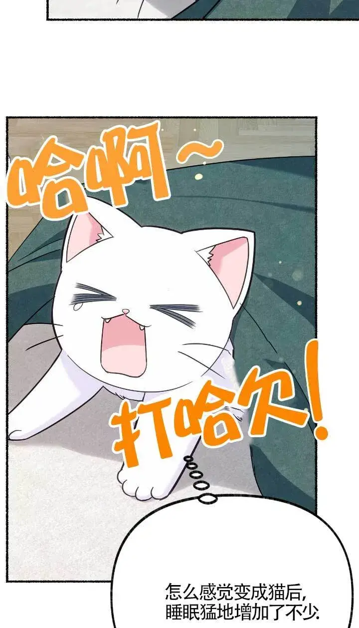 《成了每晚和偏执暴君共眠的猫》第05话图29