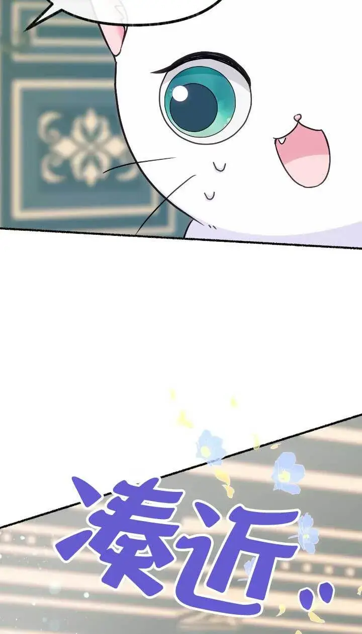 《成了每晚和偏执暴君共眠的猫》第05话图34