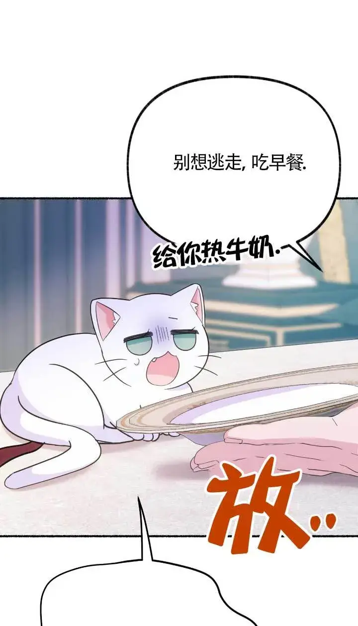 《成了每晚和偏执暴君共眠的猫》第05话图37