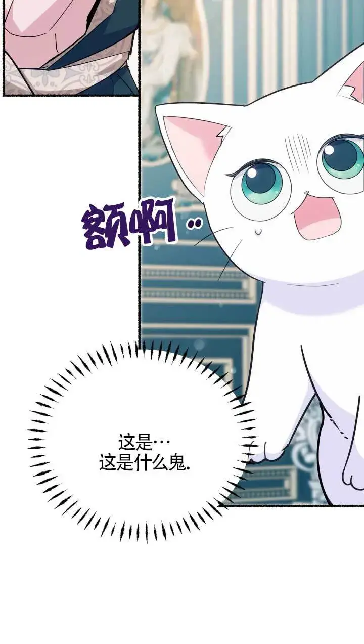 《成了每晚和偏执暴君共眠的猫》第05话图48
