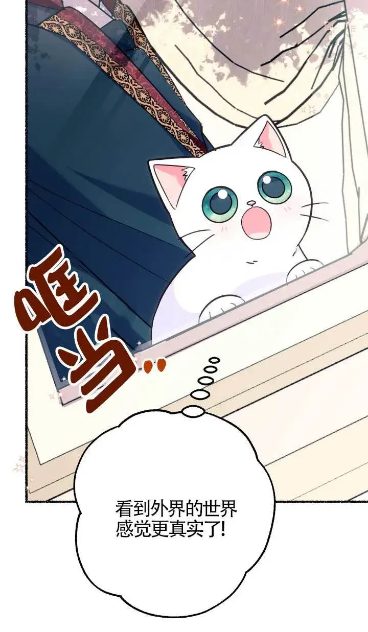 《成了每晚和偏执暴君共眠的猫》第05话图68
