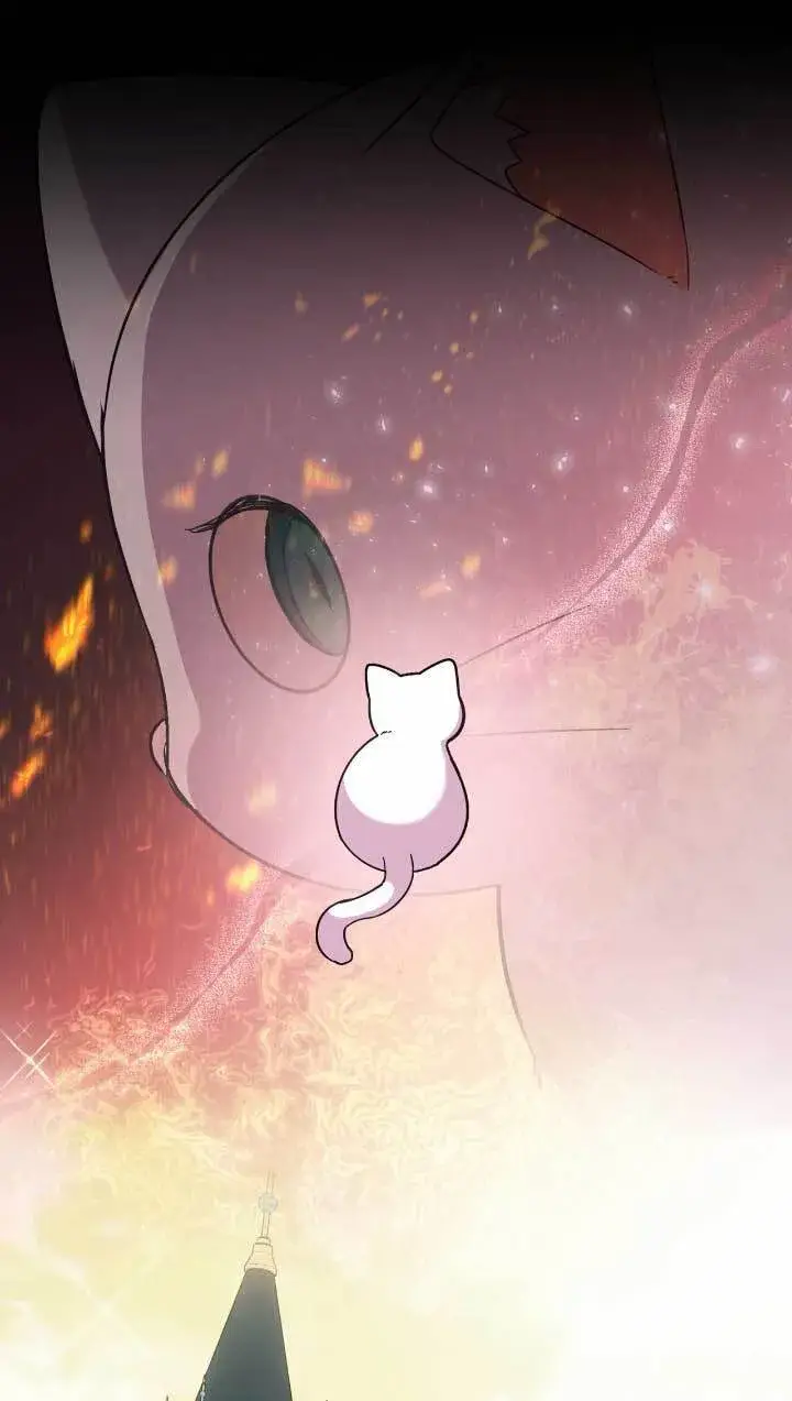 《成了每晚和偏执暴君共眠的猫》第05话图8