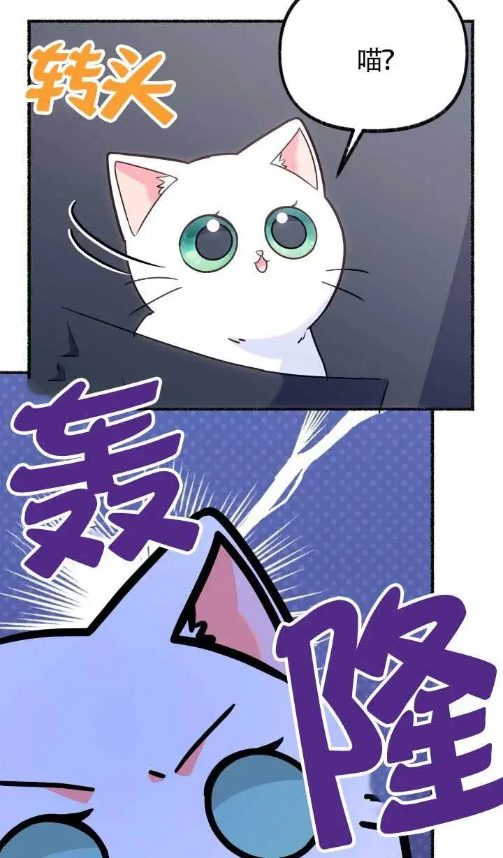《成了每晚和偏执暴君共眠的猫》第05话图91