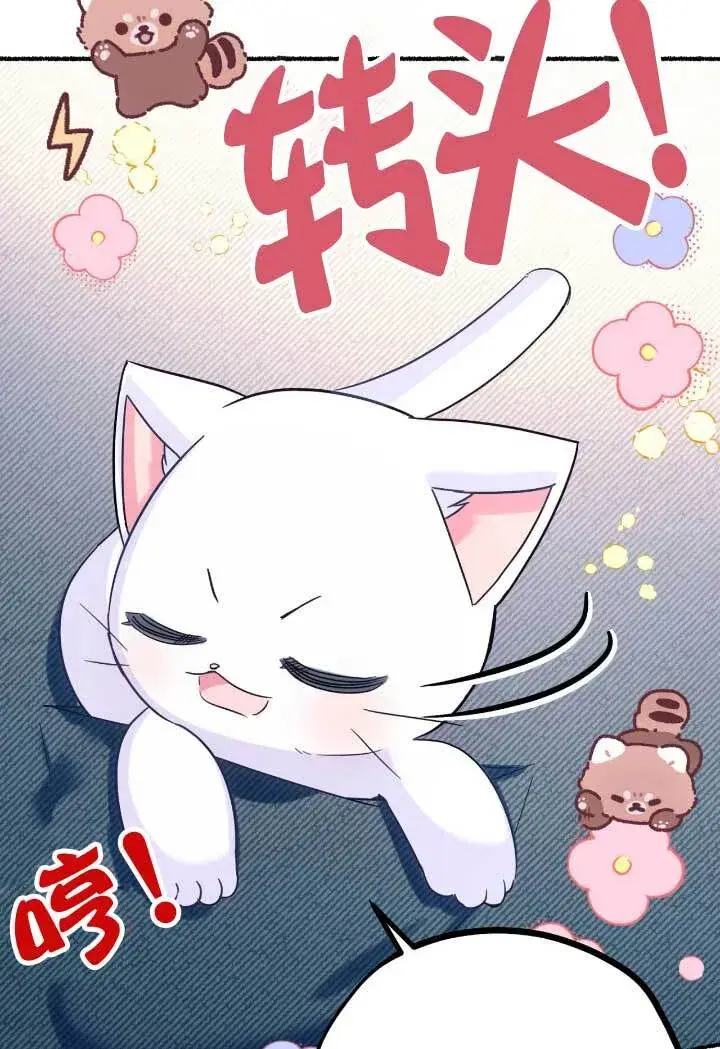 《成了每晚和偏执暴君共眠的猫》第06话图17