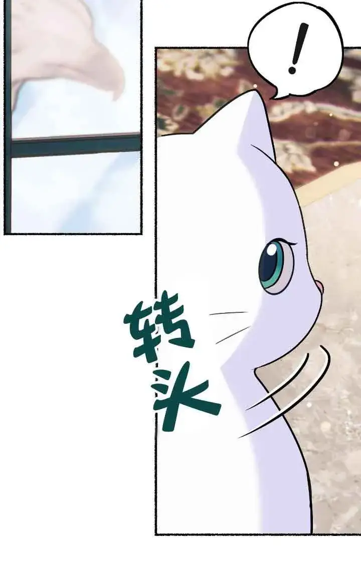 《成了每晚和偏执暴君共眠的猫》第09话图12