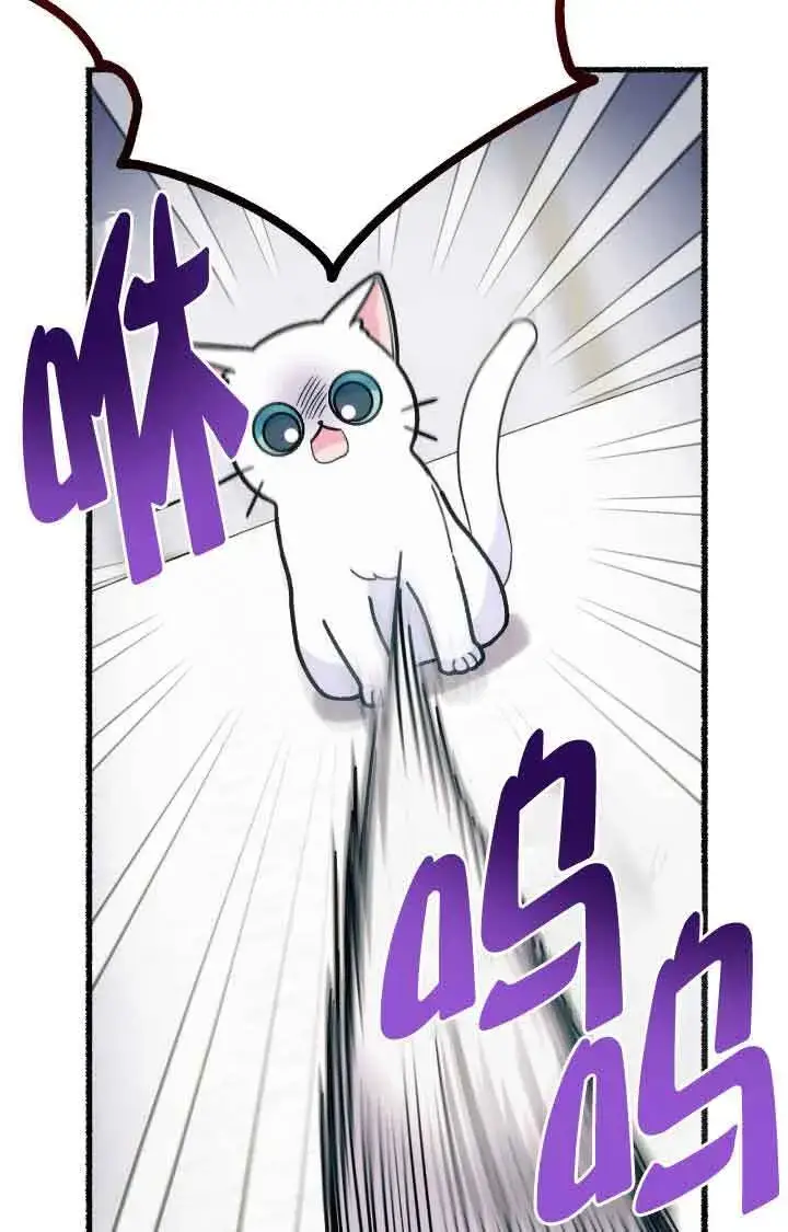 《成了每晚和偏执暴君共眠的猫》第07话图19