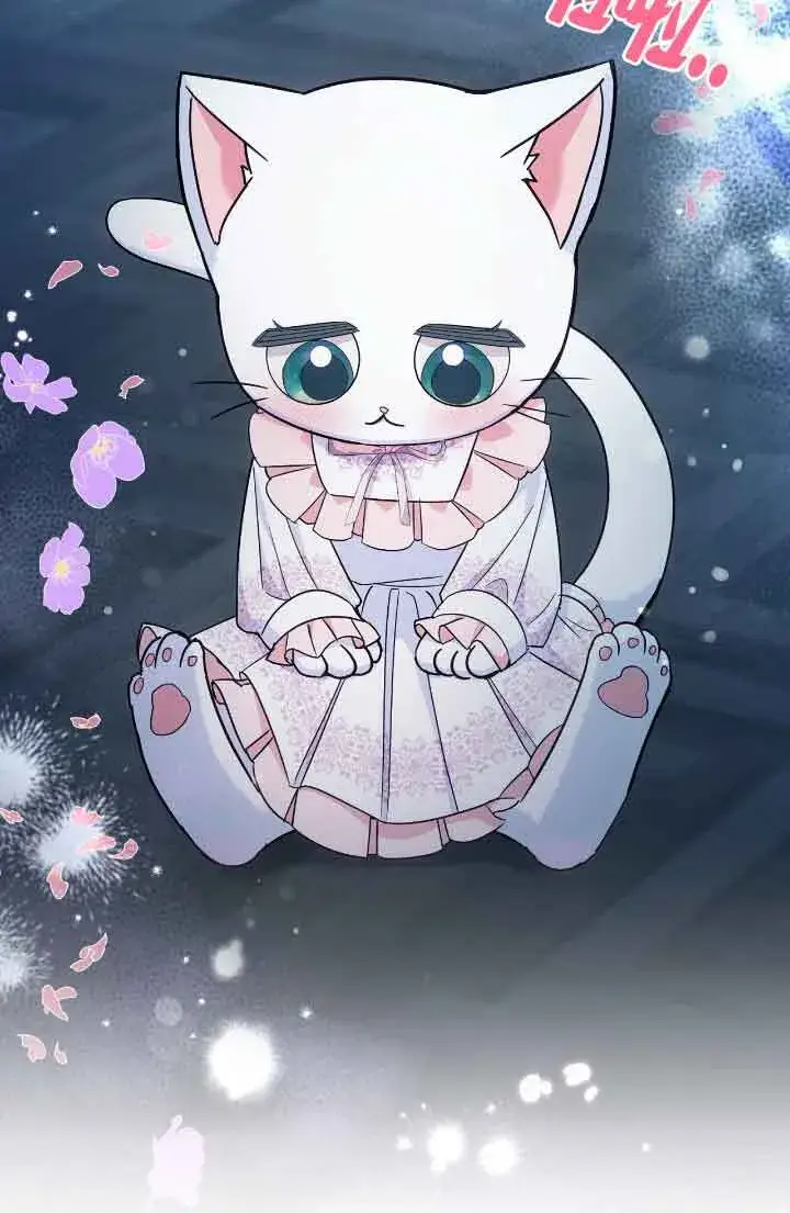 《成了每晚和偏执暴君共眠的猫》第10话图44