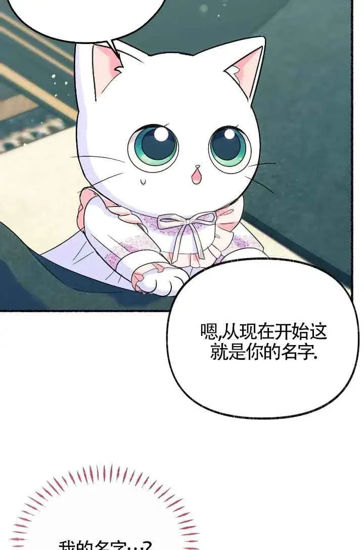 《成了每晚和偏执暴君共眠的猫》第10话图83
