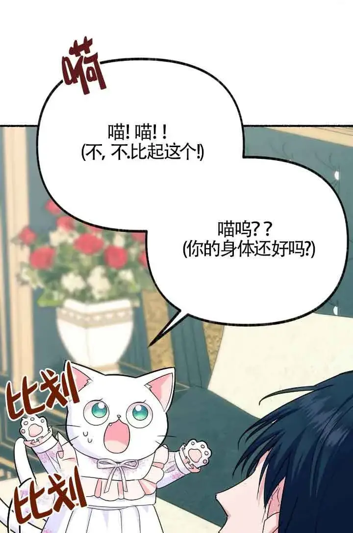 《成了每晚和偏执暴君共眠的猫》第10话图86