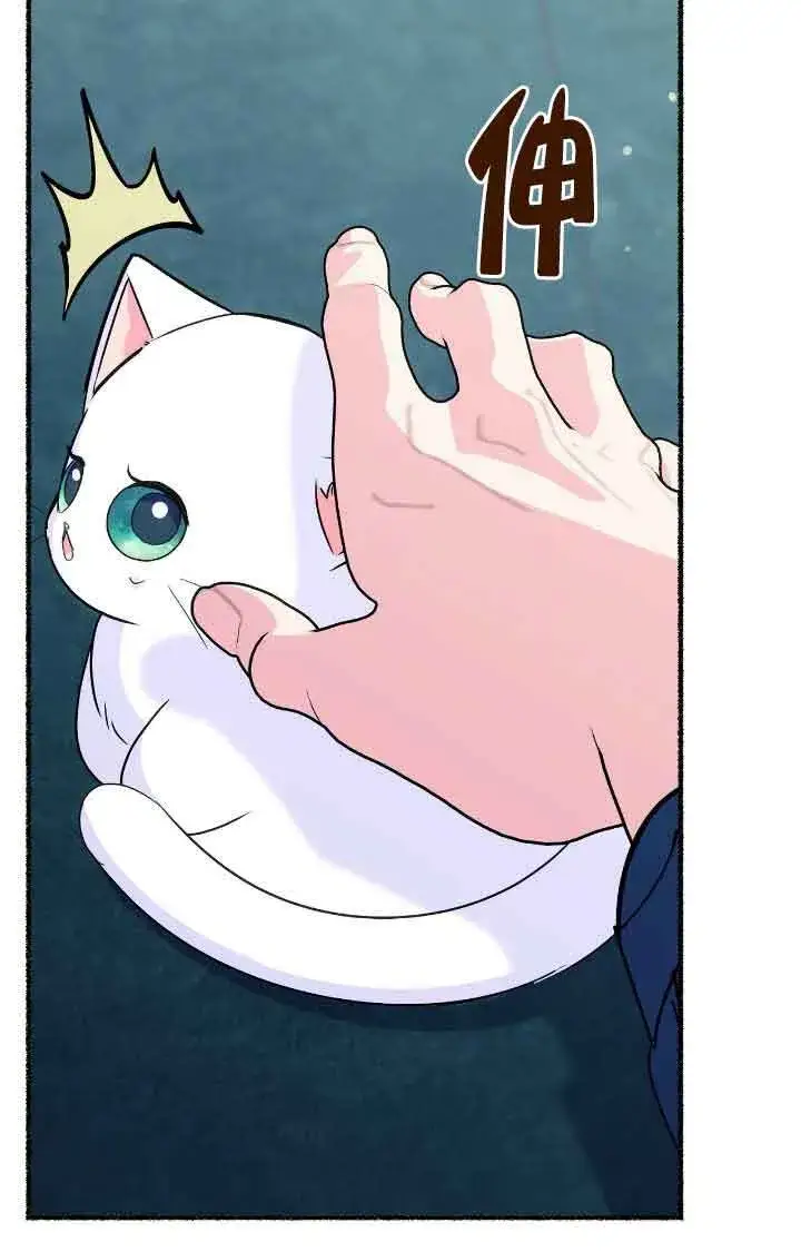 《成了每晚和偏执暴君共眠的猫》第11话图10