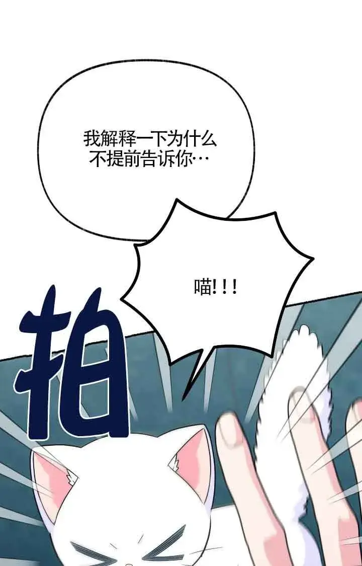 《成了每晚和偏执暴君共眠的猫》第11话图11