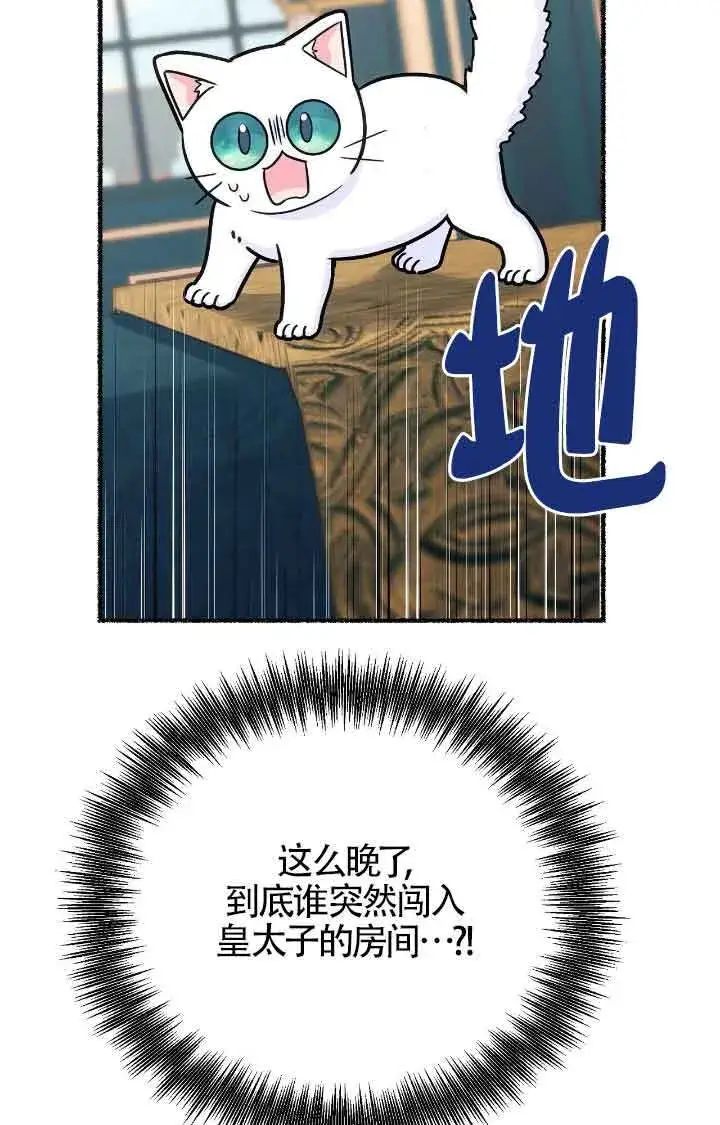 《成了每晚和偏执暴君共眠的猫》第11话图29