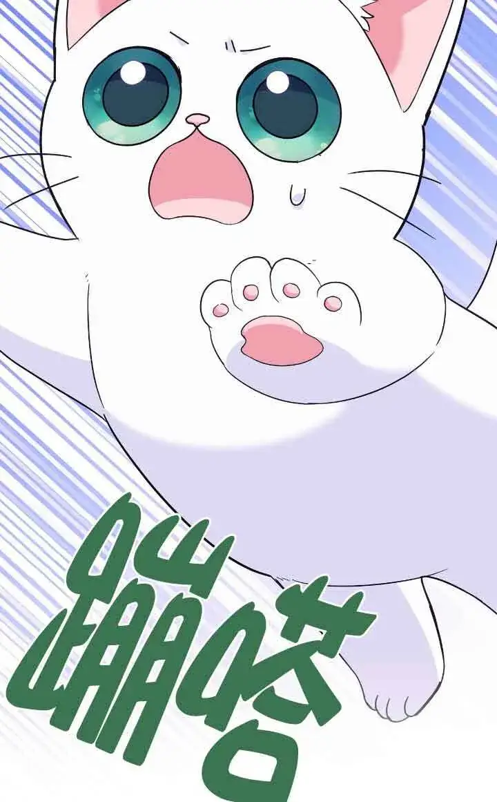 《成了每晚和偏执暴君共眠的猫》第12话图74