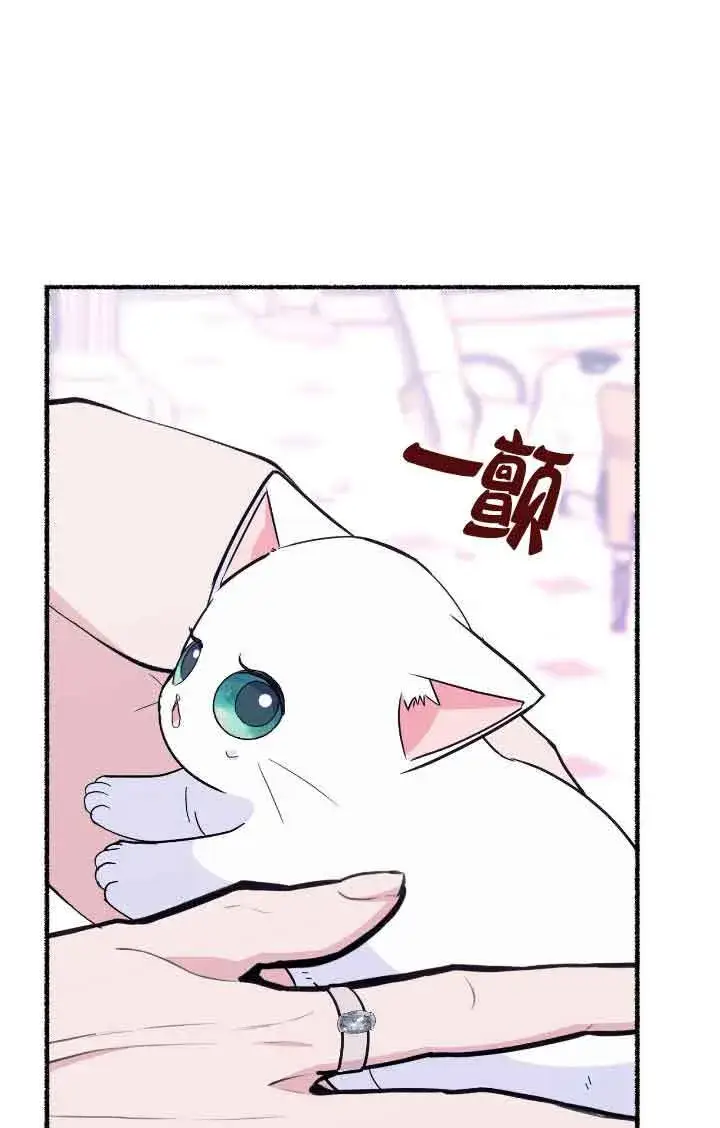 《成了每晚和偏执暴君共眠的猫》第12话图87