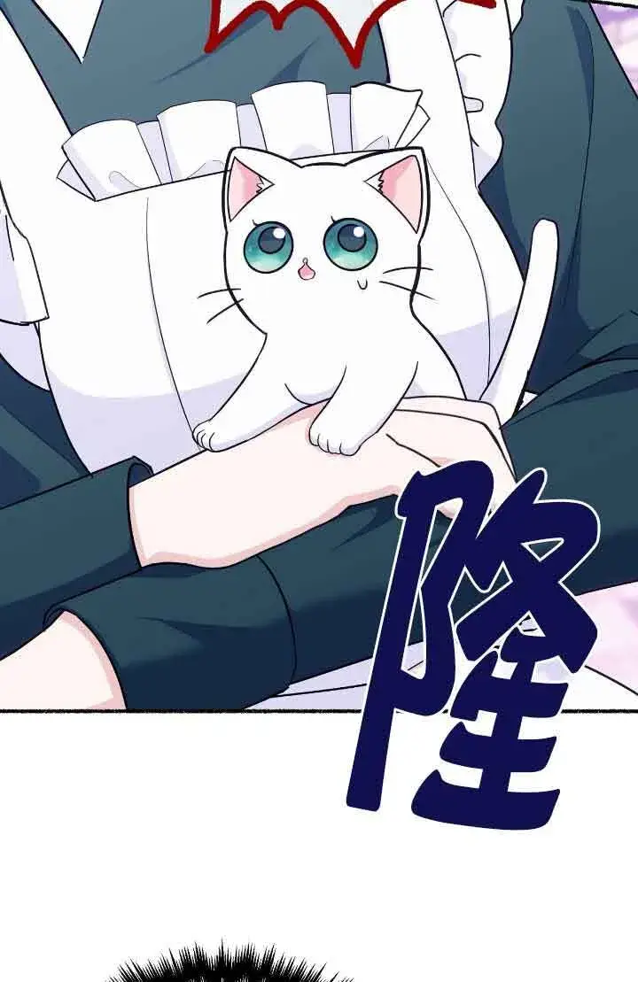 《成了每晚和偏执暴君共眠的猫》第14话图3