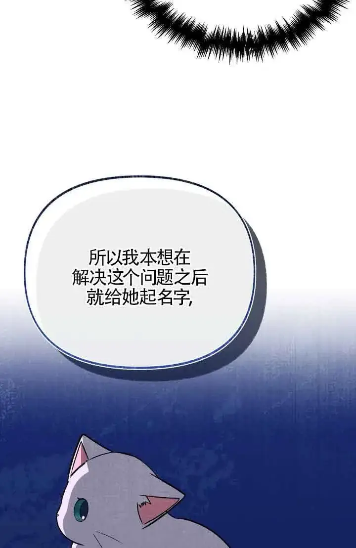《成了每晚和偏执暴君共眠的猫》第14话图5