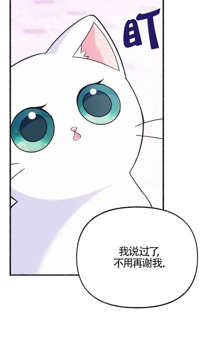 《成了每晚和偏执暴君共眠的猫》第14话图61