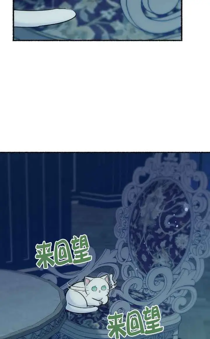 《成了每晚和偏执暴君共眠的猫》第14话图67