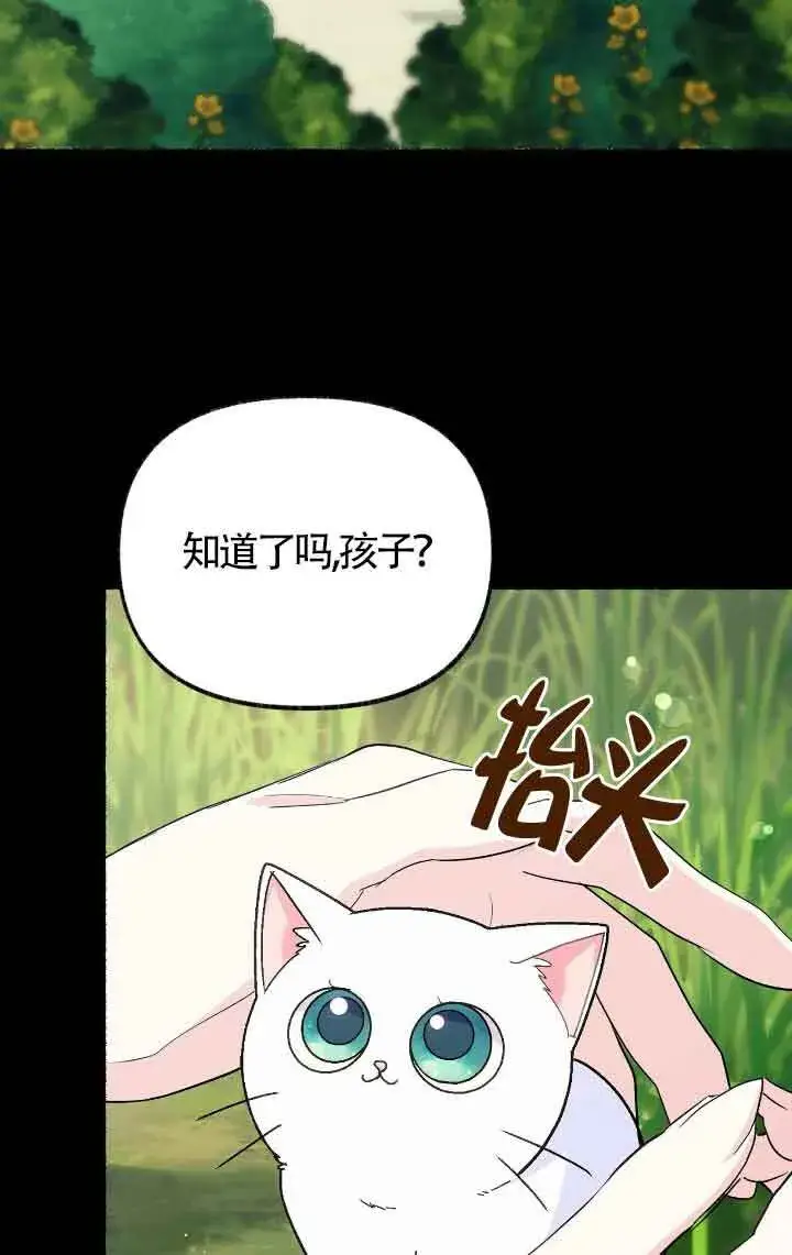 《成了每晚和偏执暴君共眠的猫》第13话图2