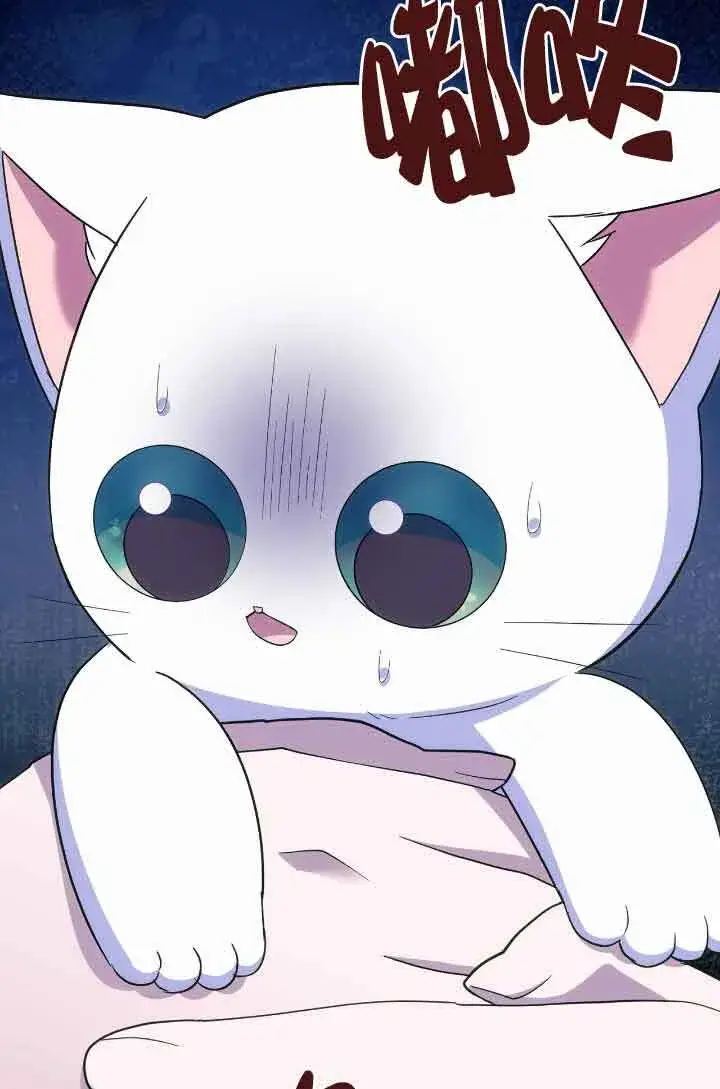 《成了每晚和偏执暴君共眠的猫》第13话图37