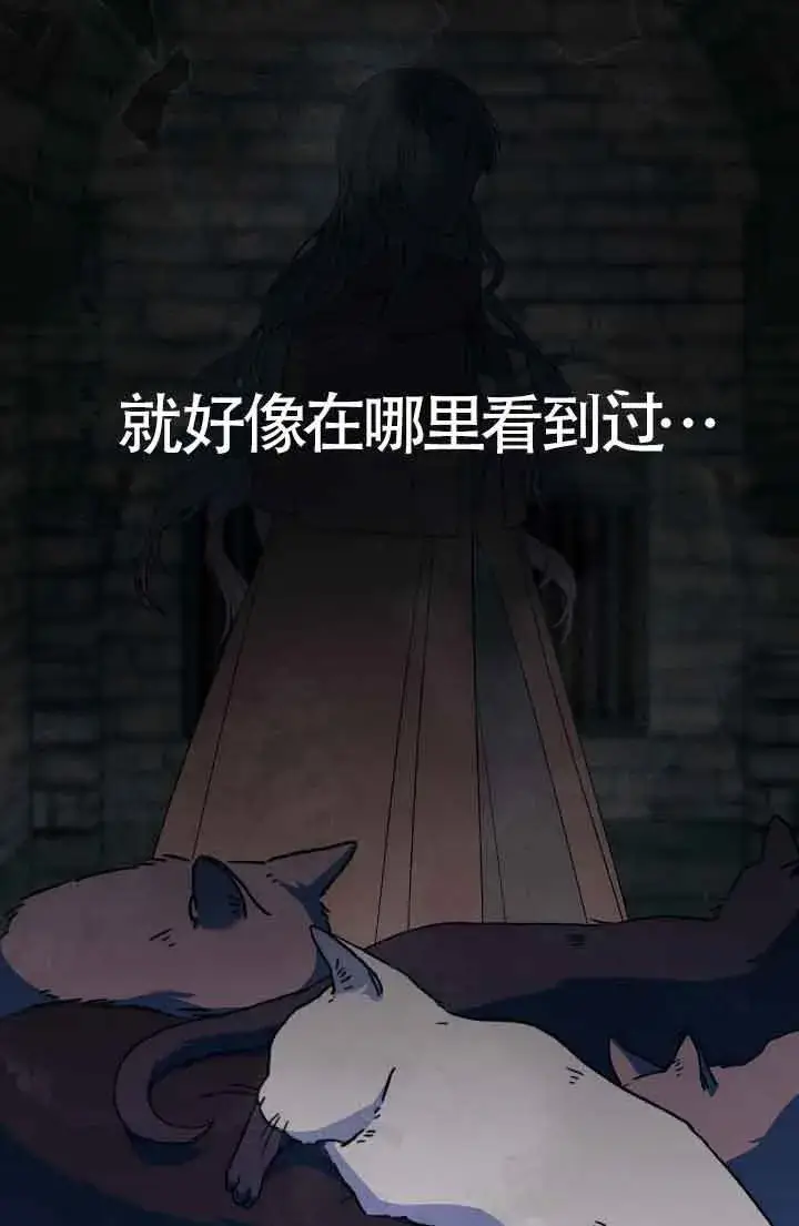 《成了每晚和偏执暴君共眠的猫》第13话图41