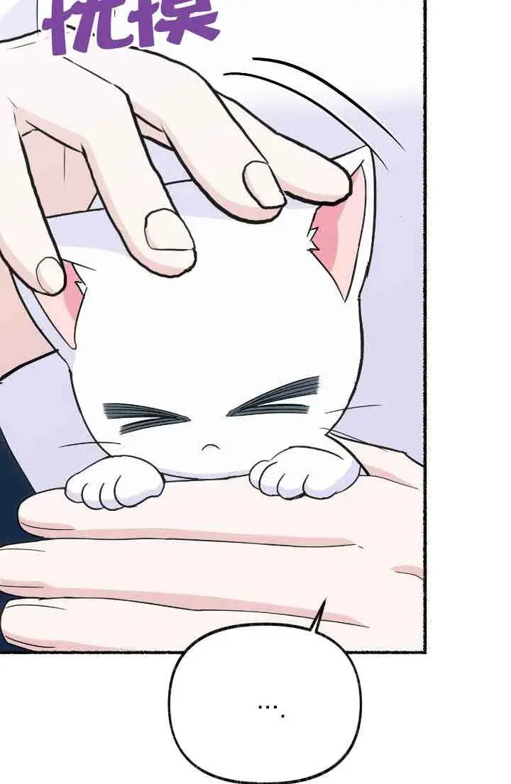 《成了每晚和偏执暴君共眠的猫》第13话图54