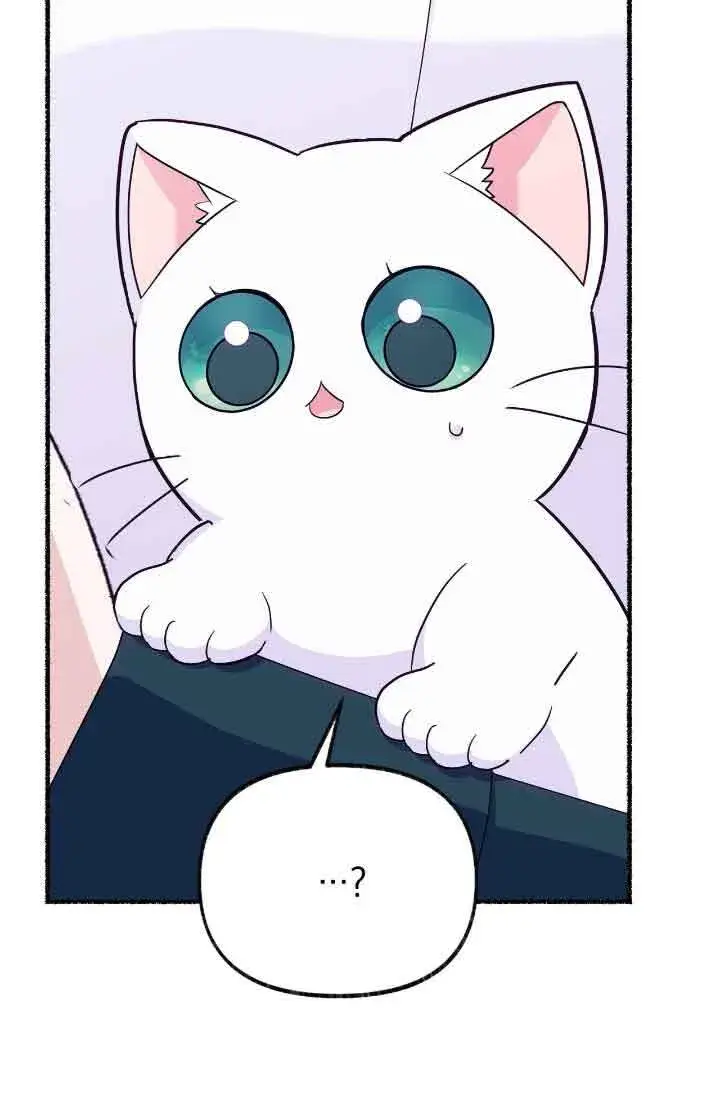 《成了每晚和偏执暴君共眠的猫》第13话图93