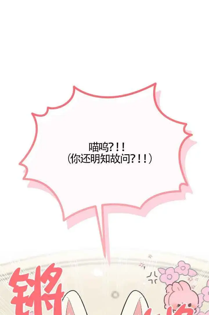 《成了每晚和偏执暴君共眠的猫》第16话图10