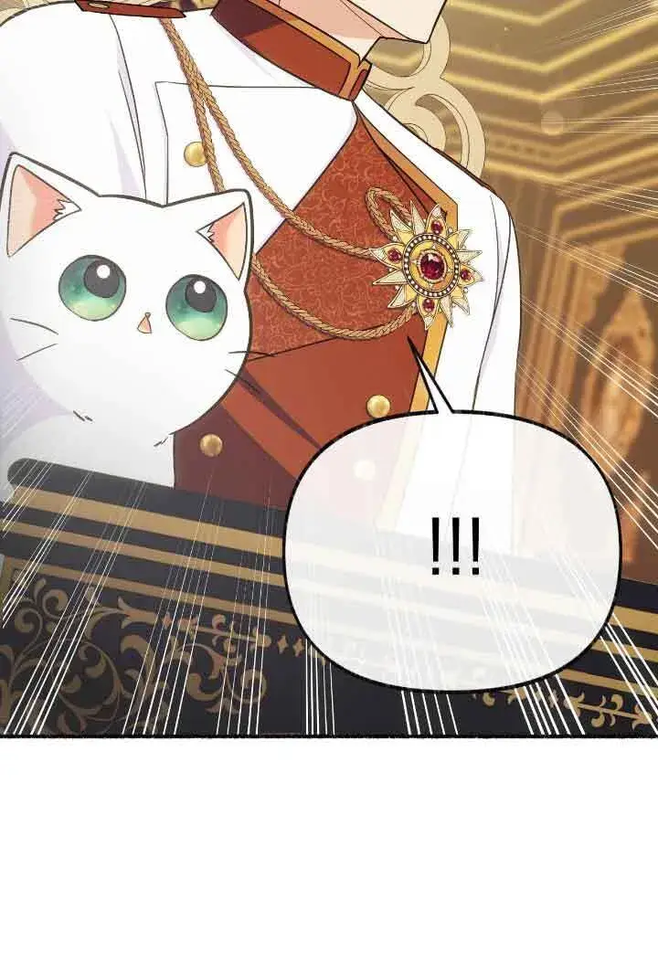 《成了每晚和偏执暴君共眠的猫》第15话图102