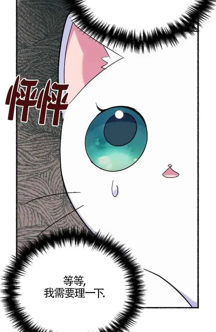 《成了每晚和偏执暴君共眠的猫》第15话图52