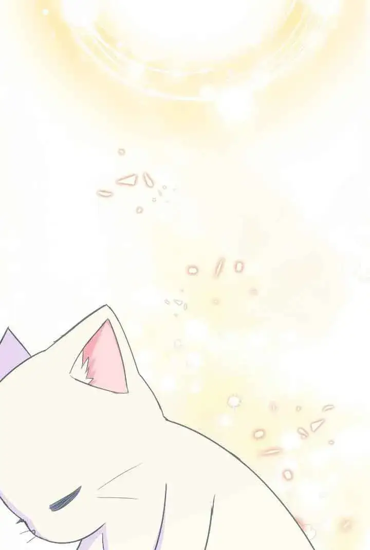 《成了每晚和偏执暴君共眠的猫》第15话图65