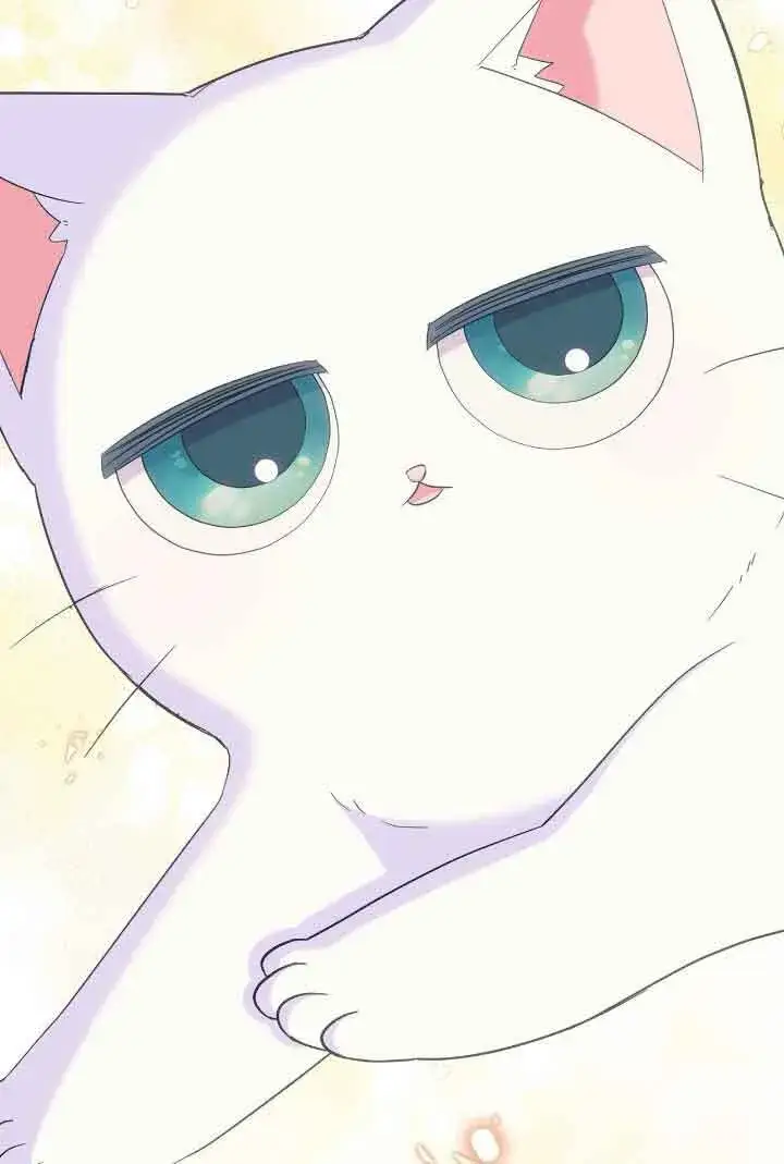 《成了每晚和偏执暴君共眠的猫》第15话图69