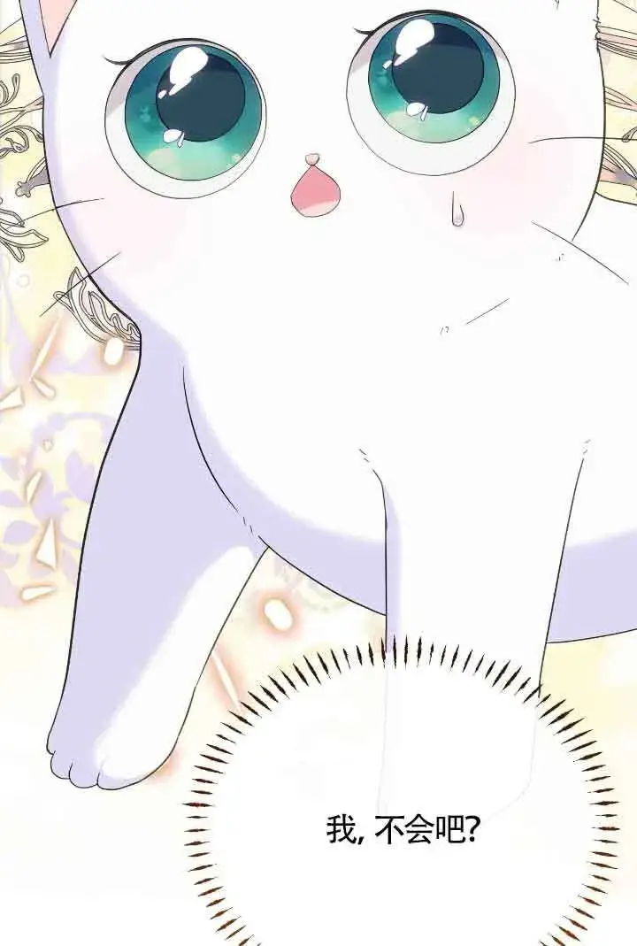 《成了每晚和偏执暴君共眠的猫》第15话图72