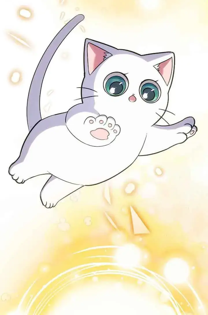 《成了每晚和偏执暴君共眠的猫》第15话图81