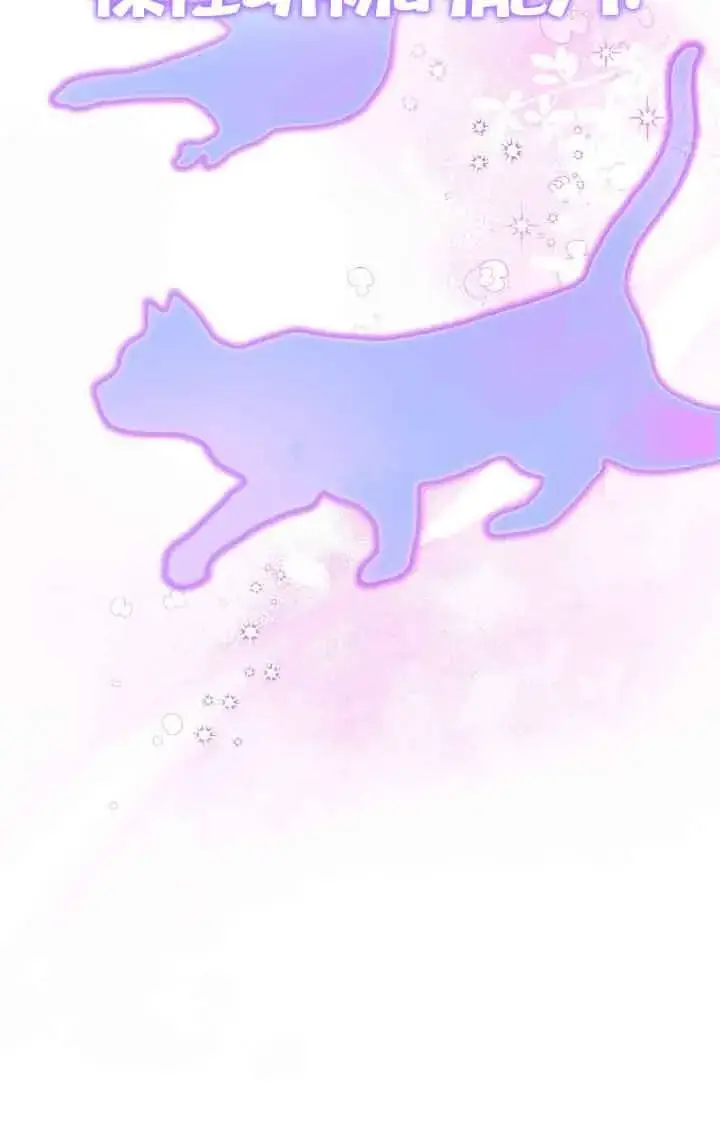 《成了每晚和偏执暴君共眠的猫》第17话图69